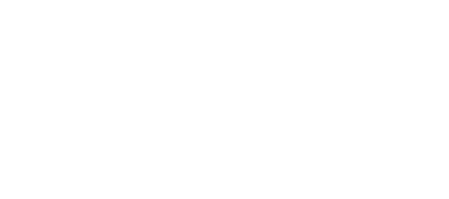 FIS logo