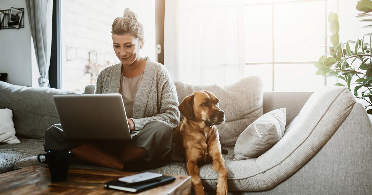 woman working on laptop sitting at couch along with the dog