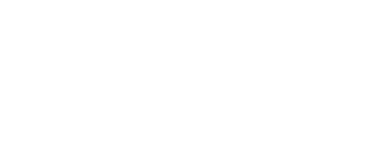 FIS logo